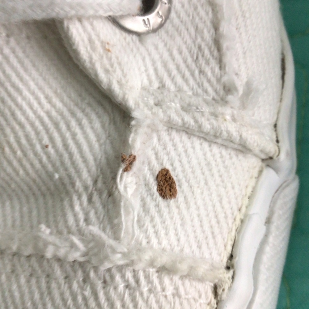 Blowfish Malibu - Women’s White Canvas Sneakers - Picture 8 of 8